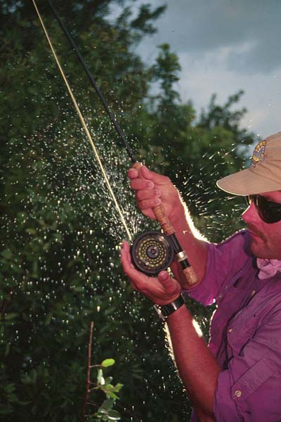 FlyFishing Saltwater, Florida Keys, Backcountry_Hanson Carroll_099