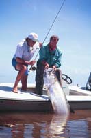 Tarpon, FlyFishing, Florida Keys, Backcountry_Hanson Carrol_050