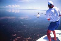 Tarpon, FlyFishing, Florida Keys, Backcountry_Hanson Carroll_096