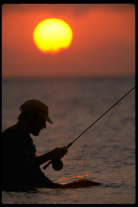 1993-Hanson Carroll  BoneFish, FlyFishing, Release, Islamorada Florida Keys_0015