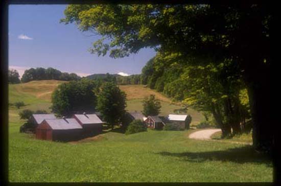 Vermont Fall JenneyFarm Woodstock 018 H