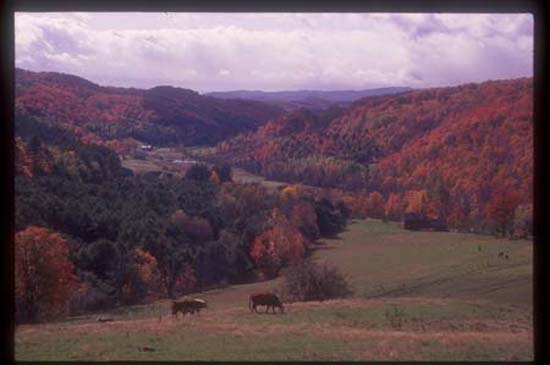 Vermont Fall Pomfret  041