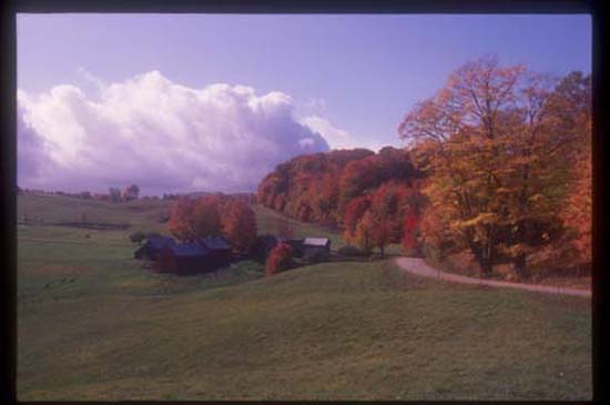 Vermont Jenny Farm S Woodstock 037