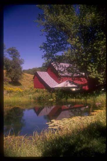 Vermont Summer Pomfert Reflections 024