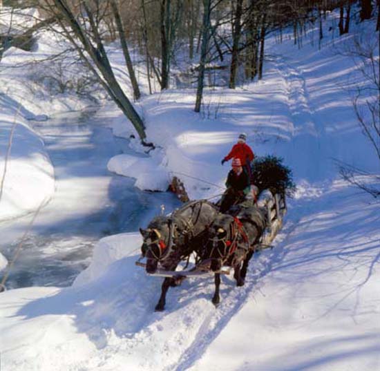 Vermont Winter Woodstock Xmas Sleigh  002 MRT