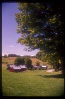 Vermont Fall JenneyFarm Woodstock 019