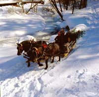 Vermont Winter Woodstock Xmas Sleigh005 MRT