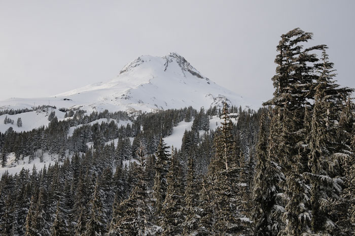 JFoto 2012-02-19_1028