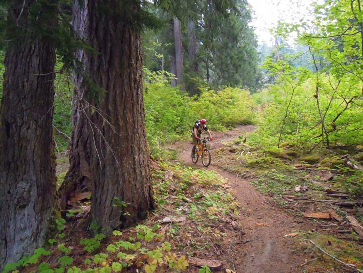 JFOTO-QuartzCreek MountainBiking6581