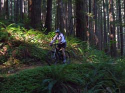 JFOTO-Souxion Creek MountainBiking6769