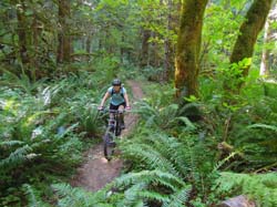 JFOTO-Souxion Creek MountainBiking6830