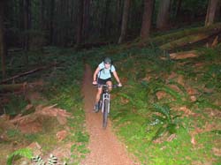 JFOTO-Souxion Creek MountainBiking6916