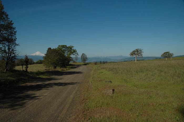 JFoto-0831-S 2010-05-13