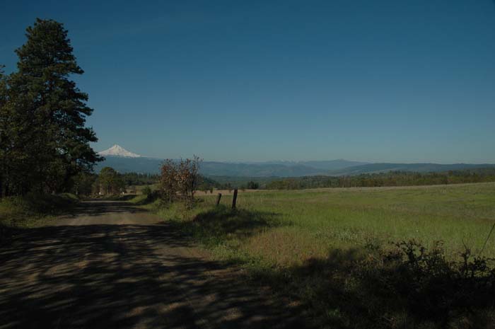 JFoto-0835-S 2010-05-13