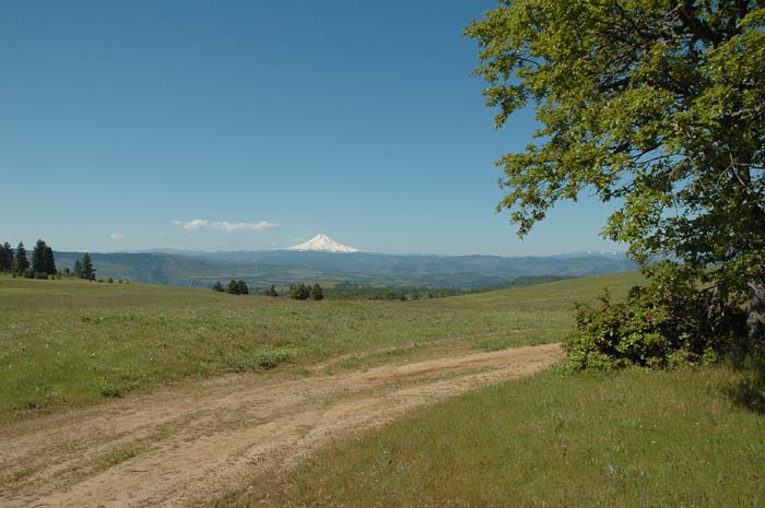 JFoto-1054-SW 2010-05-13