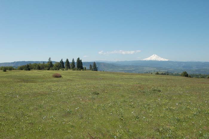 JFoto-1057-SW 2010-05-13