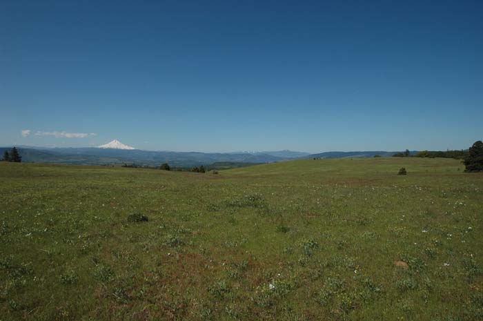 JFoto-1059-SW 2010-05-13