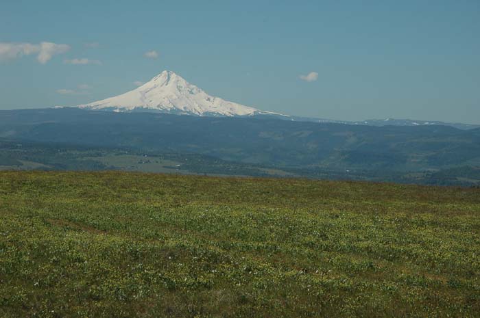 JFoto-1100-SSW 2010-05-13