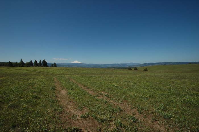 JFoto-1103-SSW 2010-05-13