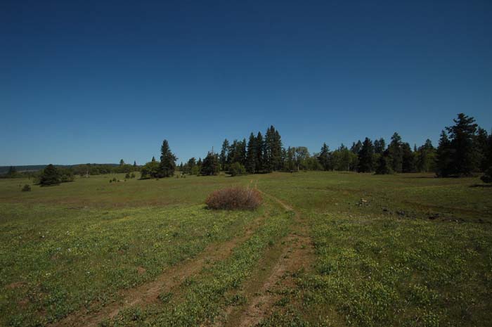 JFoto-1104-NNW 2010-05-13