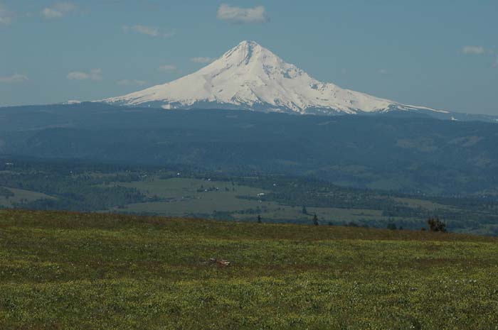 JFoto-1105-SSW 2010-05-13