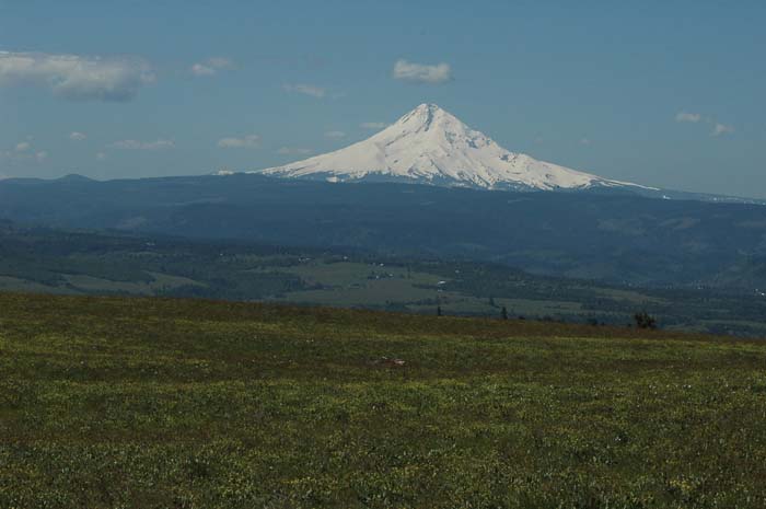 JFoto-1106-SSW 2010-05-13