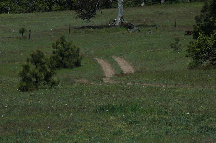 JFoto-1107-NW 2010-05-13