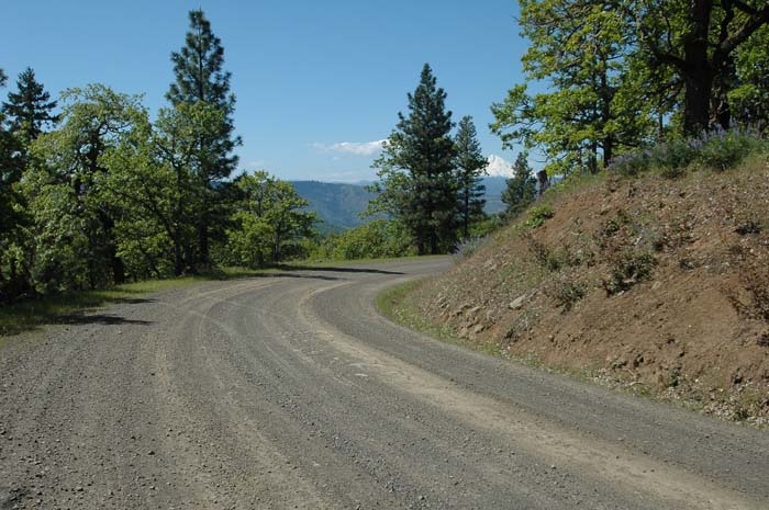 JFoto-1115-SW 2010-05-13