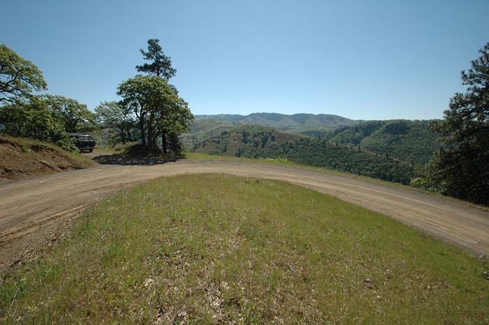 JFoto-1132-E 2010-05-13
