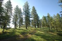 JFoto-0826-SE 2010-05-13