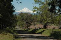 JFoto-1044-S 2010-05-13