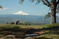 JFoto-1051-SSW 2010-05-13