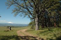 JFoto-1052-SW 2010-05-13