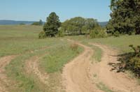 JFoto-1053-WNW 2010-05-13