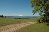 JFoto-1054-SW 2010-05-13