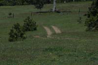 JFoto-1107-NW 2010-05-13