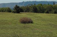 JFoto-1108-S 2010-05-13