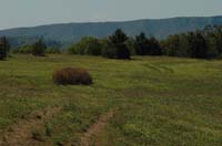 JFoto-1109-S 2010-05-13