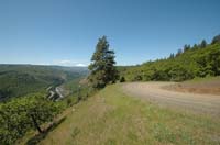 JFoto-1128-S 2010-05-13
