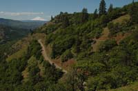 JFoto-1139-S 2010-05-13
