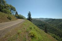 JFoto-1141-E 2010-05-13