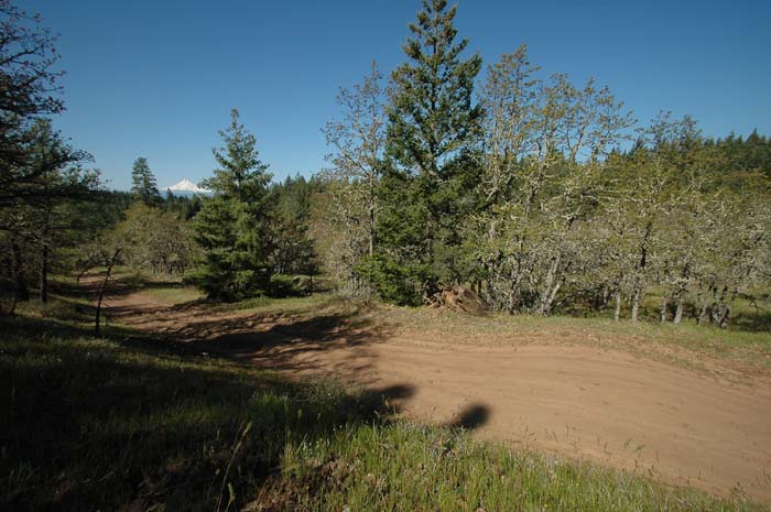 JFoto-2010-05-13-0086