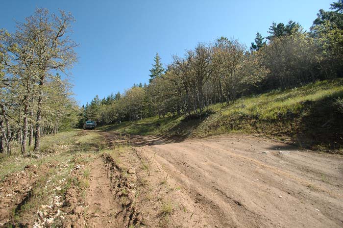JFoto-2010-05-13-0089