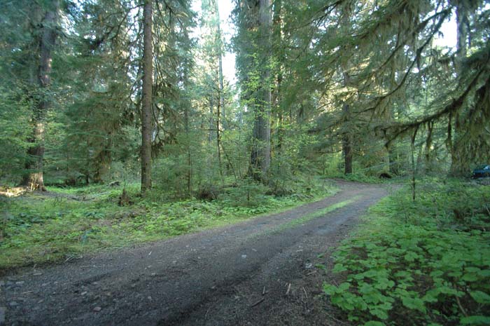JFoto-2010-05-13-0718