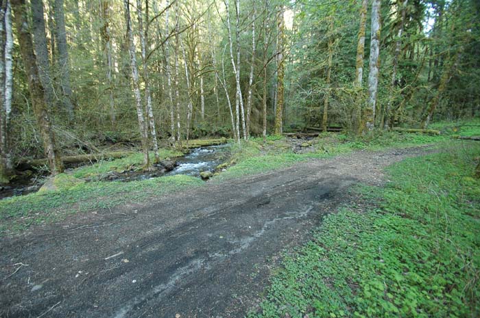 JFoto-2010-05-13-0761