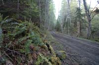JFoto-2010-05-13-0707