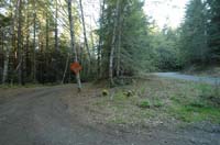 JFoto-2010-05-13-0710