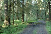JFoto-2010-05-13-0712