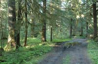 JFoto-2010-05-13-0713