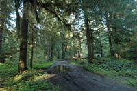 JFoto-2010-05-13-0714